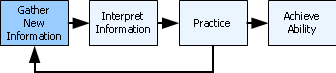 Learn Function Diagram: Gather New Information Learn Function Diagram: Gather New Information